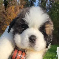 processed/dcae720b-5950-4433-93e7-a0d653093aab/facility/3ef2b1cc-f8a8-4cf0-a70b-29aa0dc3a088