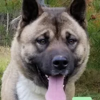 processed/dcae720b-5950-4433-93e7-a0d653093aab/facility/43c41474-1ad8-41a7-84f3-4d9c9aa38e86