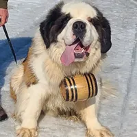 processed/dcae720b-5950-4433-93e7-a0d653093aab/facility/51aeb7dc-42a3-460a-9013-13650f5d451c