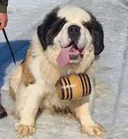 processed/dcae720b-5950-4433-93e7-a0d653093aab/facility/51aeb7dc-42a3-460a-9013-13650f5d451c