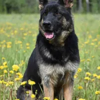 processed/dcae720b-5950-4433-93e7-a0d653093aab/facility/599ef113-c9ae-4cfa-9531-ec7787a30d63