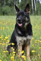 processed/dcae720b-5950-4433-93e7-a0d653093aab/facility/599ef113-c9ae-4cfa-9531-ec7787a30d63