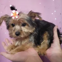 processed/dcae720b-5950-4433-93e7-a0d653093aab/facility/c4442015-904e-4a54-8261-49f44a0d68f5