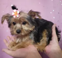 processed/dcae720b-5950-4433-93e7-a0d653093aab/facility/c4442015-904e-4a54-8261-49f44a0d68f5