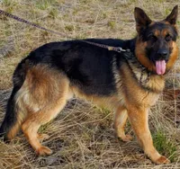 processed/dcae720b-5950-4433-93e7-a0d653093aab/listing/17a62a2a-d2a1-4122-b2bf-a3dad8e74f33/4aefc77c-dfe1-4cf9-8e12-5dba46597463