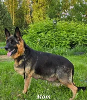 processed/dcae720b-5950-4433-93e7-a0d653093aab/listing/17a62a2a-d2a1-4122-b2bf-a3dad8e74f33/d15961f0-1e7f-4b34-88b3-d71b7528700b