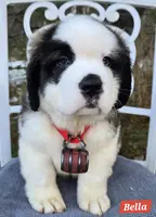 processed/dcae720b-5950-4433-93e7-a0d653093aab/listing/33437a2f-8790-4828-ae90-5dbfa36b420a/1eda2690-fa06-44ef-9a36-713a69a54527