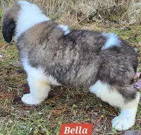 processed/dcae720b-5950-4433-93e7-a0d653093aab/listing/33437a2f-8790-4828-ae90-5dbfa36b420a/4ba5740a-f247-4494-aee5-73fb3537f87c