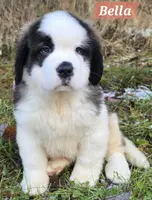 processed/dcae720b-5950-4433-93e7-a0d653093aab/listing/33437a2f-8790-4828-ae90-5dbfa36b420a/639fa4a0-22a4-49cc-956e-278e94fea328