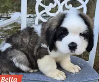 processed/dcae720b-5950-4433-93e7-a0d653093aab/listing/33437a2f-8790-4828-ae90-5dbfa36b420a/9af0c191-a646-4ba6-b0ce-aac9719514b9