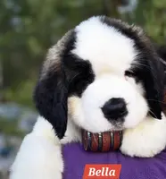 processed/dcae720b-5950-4433-93e7-a0d653093aab/listing/33437a2f-8790-4828-ae90-5dbfa36b420a/c924991a-732f-477a-a203-877e9e9cfc1a