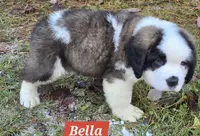 processed/dcae720b-5950-4433-93e7-a0d653093aab/listing/33437a2f-8790-4828-ae90-5dbfa36b420a/dc40534c-08c5-4d9d-b503-021dc29577c5