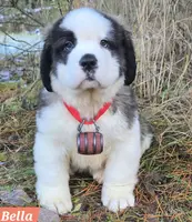 processed/dcae720b-5950-4433-93e7-a0d653093aab/listing/33437a2f-8790-4828-ae90-5dbfa36b420a/f551c4df-03e5-4782-82c1-a86a21a3652c