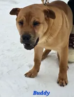 processed/dcae720b-5950-4433-93e7-a0d653093aab/listing/70ccc4b0-a231-4d47-b914-03004abecb77/1b2f8fb8-d8d7-40c2-8ee6-fdee276ebedf