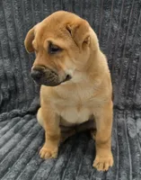 processed/dcae720b-5950-4433-93e7-a0d653093aab/listing/70ccc4b0-a231-4d47-b914-03004abecb77/5f04ba17-3dec-47d5-a716-22d8cb8fd629