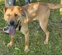 processed/dcae720b-5950-4433-93e7-a0d653093aab/listing/70ccc4b0-a231-4d47-b914-03004abecb77/628e5552-985f-4f3f-9907-d196c3c96306