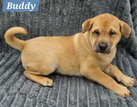 processed/dcae720b-5950-4433-93e7-a0d653093aab/listing/70ccc4b0-a231-4d47-b914-03004abecb77/66bc4653-c1bb-4d9e-9039-dbdb5ce077e2