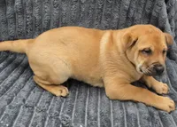 processed/dcae720b-5950-4433-93e7-a0d653093aab/listing/70ccc4b0-a231-4d47-b914-03004abecb77/85146e3f-1a29-4811-bc0a-1cc4d5aabc0a