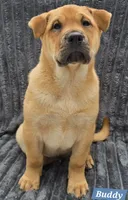 processed/dcae720b-5950-4433-93e7-a0d653093aab/listing/70ccc4b0-a231-4d47-b914-03004abecb77/89131aaa-75c6-4340-9a90-9cf5248439a7