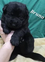 processed/dcae720b-5950-4433-93e7-a0d653093aab/listing/75c73a36-ebd2-4a69-a6d6-8b7cc6e30b41/2c2b420b-416b-4e1d-99e1-ec7dfb7d534d