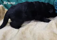 processed/dcae720b-5950-4433-93e7-a0d653093aab/listing/75c73a36-ebd2-4a69-a6d6-8b7cc6e30b41/527a7145-0dbc-41ce-a08f-69c557e5d86e