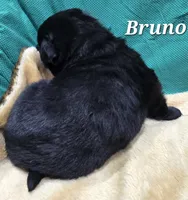 processed/dcae720b-5950-4433-93e7-a0d653093aab/listing/75c73a36-ebd2-4a69-a6d6-8b7cc6e30b41/c3617182-d17f-458f-8155-6436700bfea9