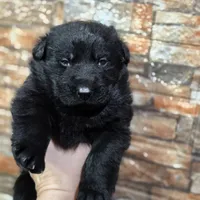 processed/dcae720b-5950-4433-93e7-a0d653093aab/listing/75c73a36-ebd2-4a69-a6d6-8b7cc6e30b41/c9452023-1b9c-48b9-8856-f75d55f8ae5a