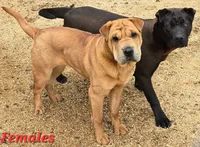 processed/dcae720b-5950-4433-93e7-a0d653093aab/listing/8a71d9c9-fc25-4892-81ff-15b6a4776982/1b097bdb-6e3a-49a1-be05-7540a81d0cc5