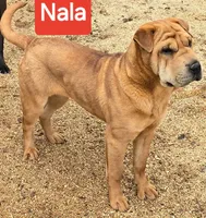 processed/dcae720b-5950-4433-93e7-a0d653093aab/listing/8a71d9c9-fc25-4892-81ff-15b6a4776982/352c7963-6c9a-4788-94be-e737e009f034