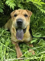 processed/dcae720b-5950-4433-93e7-a0d653093aab/listing/8a71d9c9-fc25-4892-81ff-15b6a4776982/9a62c8cc-90f3-4a49-aea6-ed393ca37c71