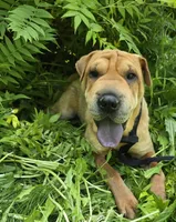 processed/dcae720b-5950-4433-93e7-a0d653093aab/listing/8a71d9c9-fc25-4892-81ff-15b6a4776982/9a7ca67c-27cf-4275-8923-ad0a8246f951