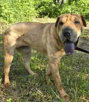 processed/dcae720b-5950-4433-93e7-a0d653093aab/listing/8a71d9c9-fc25-4892-81ff-15b6a4776982/fe6950e9-d064-4d02-bebb-e2043373b6db