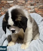 processed/dcae720b-5950-4433-93e7-a0d653093aab/listing/a079e16b-9ccc-43e2-876a-5e6b5c0a9f70/7adfd971-1b23-45de-8cf1-648c0433a1bf