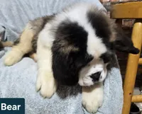 processed/dcae720b-5950-4433-93e7-a0d653093aab/listing/a079e16b-9ccc-43e2-876a-5e6b5c0a9f70/92684e0f-1a58-4cb0-aff6-31b51d3c29e9