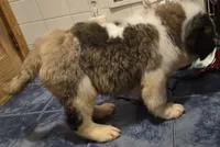 processed/dcae720b-5950-4433-93e7-a0d653093aab/listing/a079e16b-9ccc-43e2-876a-5e6b5c0a9f70/93fbd56f-55dc-412f-8524-6c220a48744f