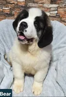 processed/dcae720b-5950-4433-93e7-a0d653093aab/listing/a079e16b-9ccc-43e2-876a-5e6b5c0a9f70/bb1f128e-4e56-4e8f-b6cd-a4d3e0be27e6