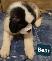 processed/dcae720b-5950-4433-93e7-a0d653093aab/listing/a079e16b-9ccc-43e2-876a-5e6b5c0a9f70/da170b1a-5090-485b-ac0e-b4bc3a439f7f