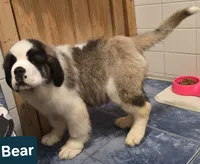 processed/dcae720b-5950-4433-93e7-a0d653093aab/listing/a079e16b-9ccc-43e2-876a-5e6b5c0a9f70/f84740da-f256-4bef-97e0-e6831e6a7ee8