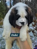 processed/dcae720b-5950-4433-93e7-a0d653093aab/listing/dadfacc3-b605-4ac0-843c-61ded5377ac6/16f58e6e-cebe-4854-ab33-22af346582d8