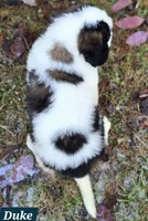 processed/dcae720b-5950-4433-93e7-a0d653093aab/listing/dadfacc3-b605-4ac0-843c-61ded5377ac6/1fd7d43c-65a2-43be-9fbd-49c48dd702c0