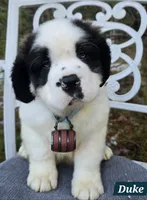 processed/dcae720b-5950-4433-93e7-a0d653093aab/listing/dadfacc3-b605-4ac0-843c-61ded5377ac6/2ac58607-a669-4bcb-84a1-4cca464888fd