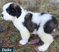 processed/dcae720b-5950-4433-93e7-a0d653093aab/listing/dadfacc3-b605-4ac0-843c-61ded5377ac6/54fa18cc-16f5-40f9-aaaa-28452797f92a