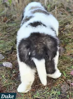 processed/dcae720b-5950-4433-93e7-a0d653093aab/listing/dadfacc3-b605-4ac0-843c-61ded5377ac6/9d1bb275-6c94-409d-9748-27d90690d2f6