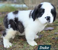 processed/dcae720b-5950-4433-93e7-a0d653093aab/listing/dadfacc3-b605-4ac0-843c-61ded5377ac6/c5371866-4752-4549-b6db-9f622faa49be