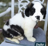 processed/dcae720b-5950-4433-93e7-a0d653093aab/listing/dadfacc3-b605-4ac0-843c-61ded5377ac6/de844af0-b5a3-42ad-8e9f-1050b84c24b7