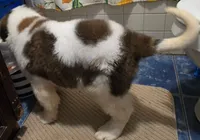 processed/dcae720b-5950-4433-93e7-a0d653093aab/listing/f3cc4898-e621-430a-b564-3a1c6e127eee/365a4944-d2b7-4c86-8f27-7b3c0a6a271d