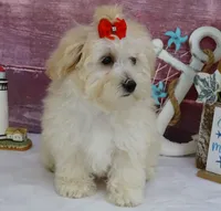 processed/dcb2718b-069f-45a0-9a1f-128a7e4986d2/listing/7c648ef5-fb98-4d40-b8ab-c66a5f38222a/0ab84966-ca6a-4710-8416-4fa50d537d03