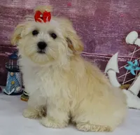 processed/dcb2718b-069f-45a0-9a1f-128a7e4986d2/listing/7c648ef5-fb98-4d40-b8ab-c66a5f38222a/2cdcc4ca-c596-4260-92df-a9dc1f73efbb