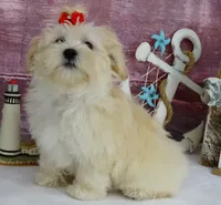 processed/dcb2718b-069f-45a0-9a1f-128a7e4986d2/listing/7c648ef5-fb98-4d40-b8ab-c66a5f38222a/2f454545-7c0e-4910-a0fd-050fdf901140