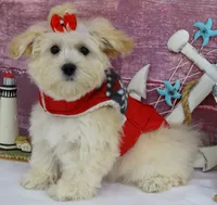 processed/dcb2718b-069f-45a0-9a1f-128a7e4986d2/listing/7c648ef5-fb98-4d40-b8ab-c66a5f38222a/59817c77-2099-40a7-865f-42872bc99f30